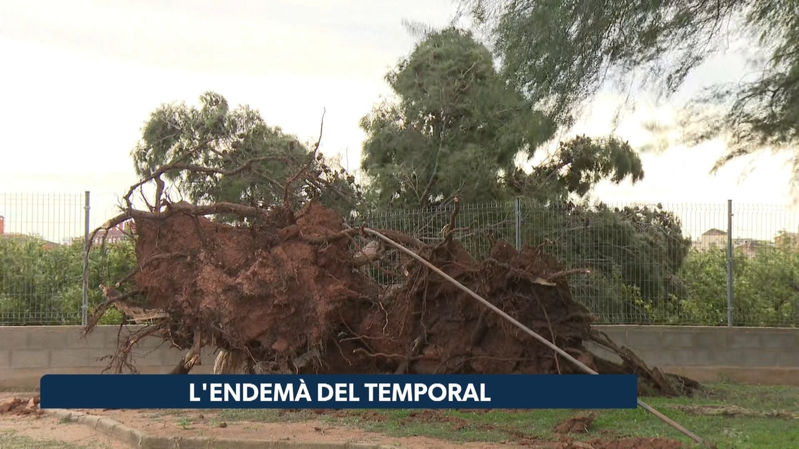 L'endemà del temporal