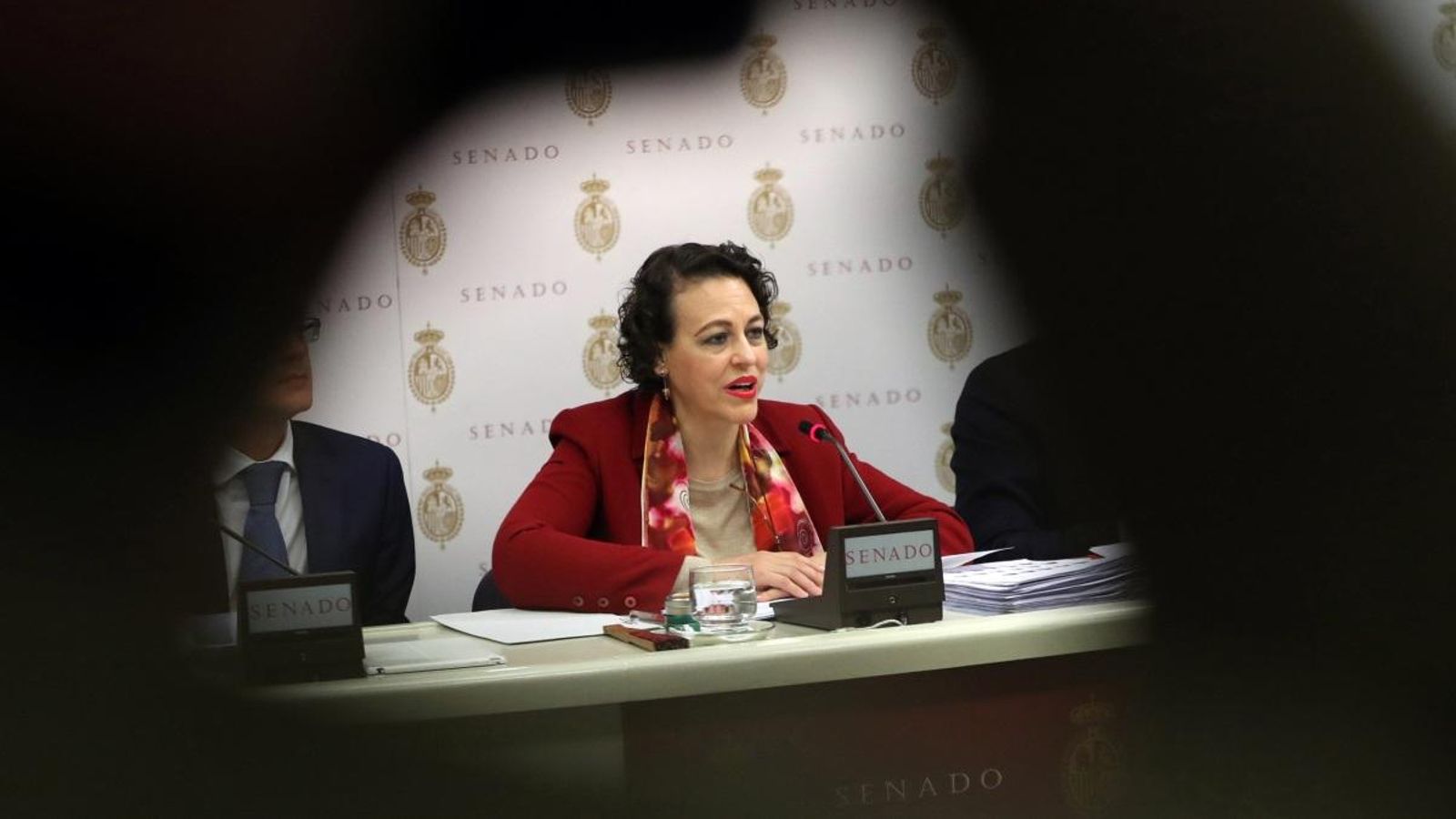 La ministra de Treball, Migracions i Seguretat Social, Magdalena Valerio, compareixeix al Senat