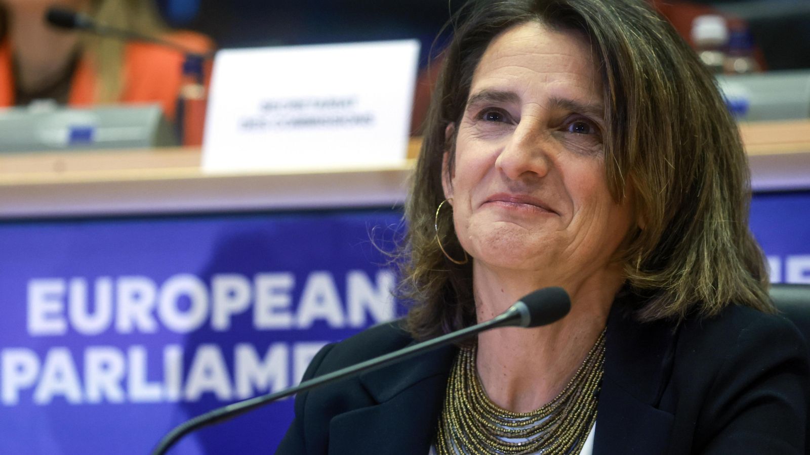 La vicepresidenta designada de la Comissió Europea per a una Transició Neta, Justa i Competitiva, Teresa Riberaal Parlament Europeu