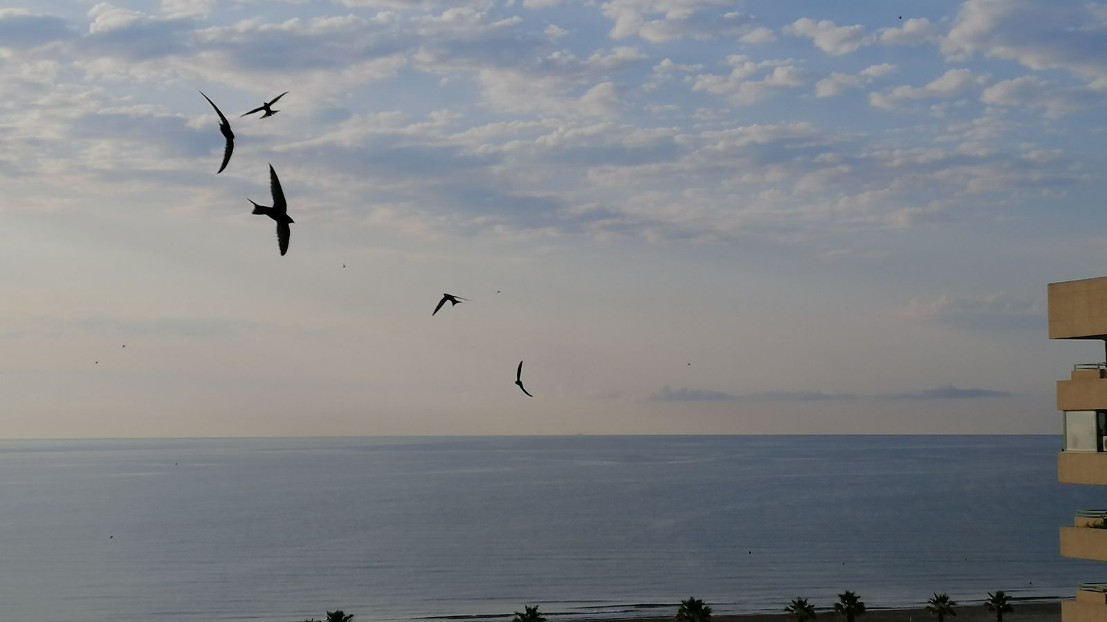 Alboraia, l'Horta Nord