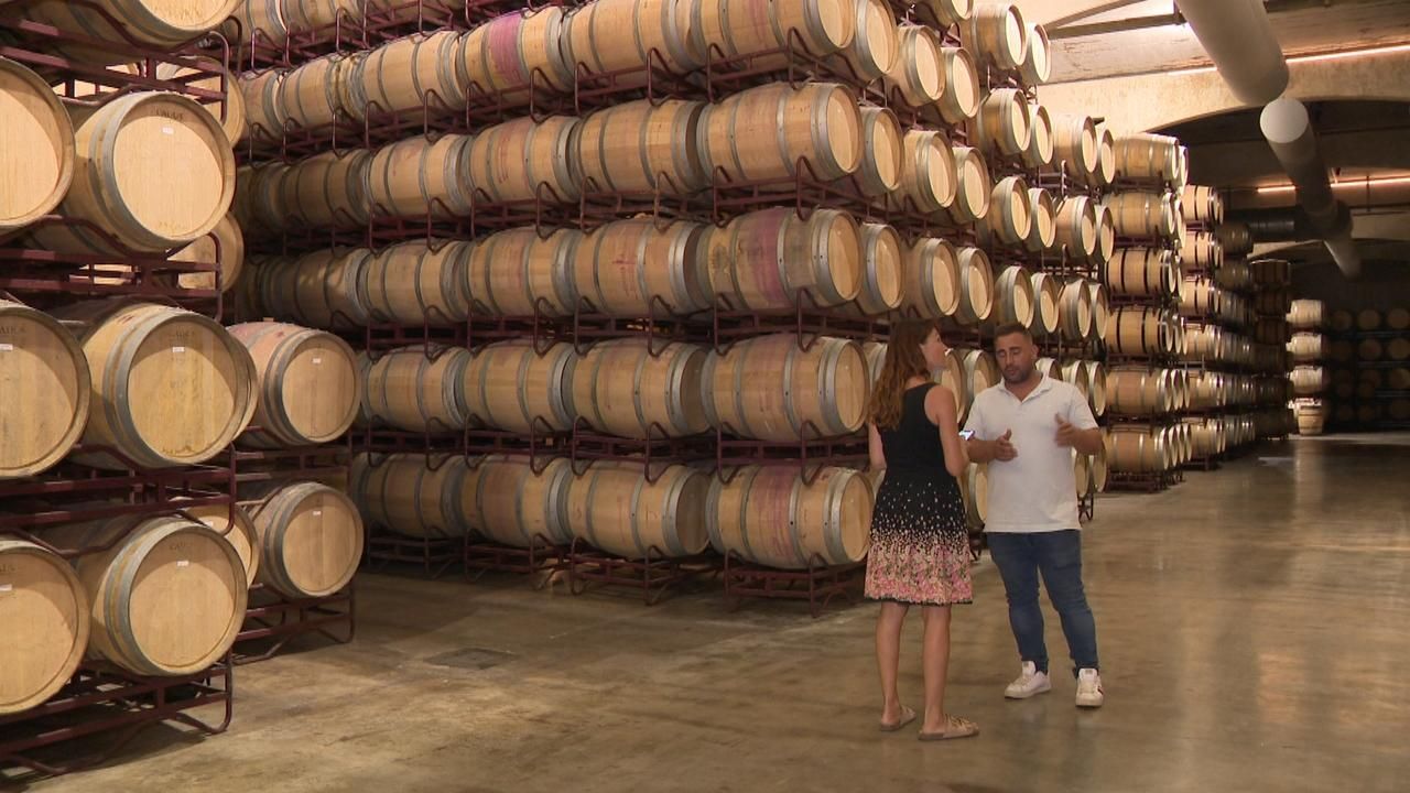 Aranzels al cava i el vi