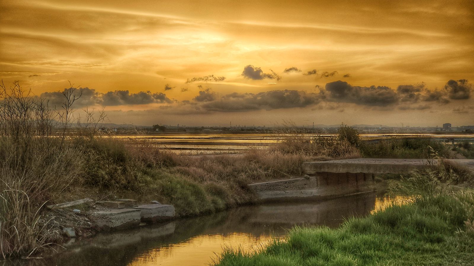 El Saler, València, ahir