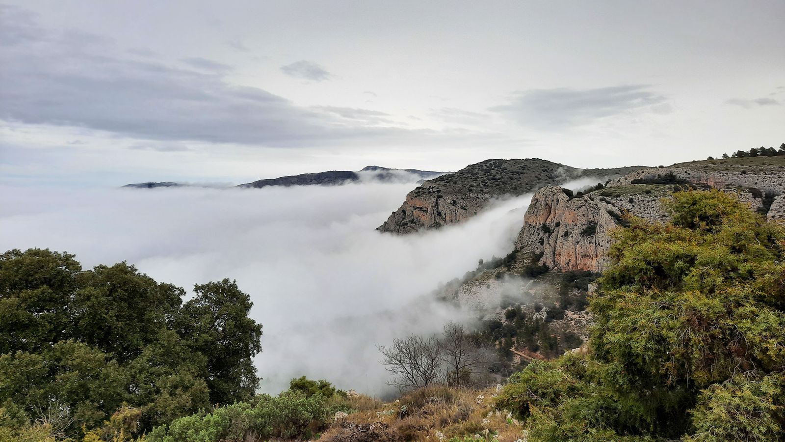 1.ALCOLEJA, EL COMTAT