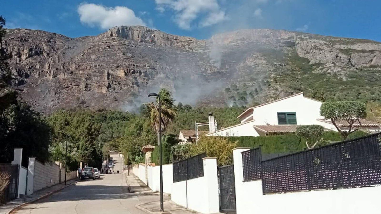 Zona foresta de la Drova, a Barx, on diumenge es va declarar l'incendi