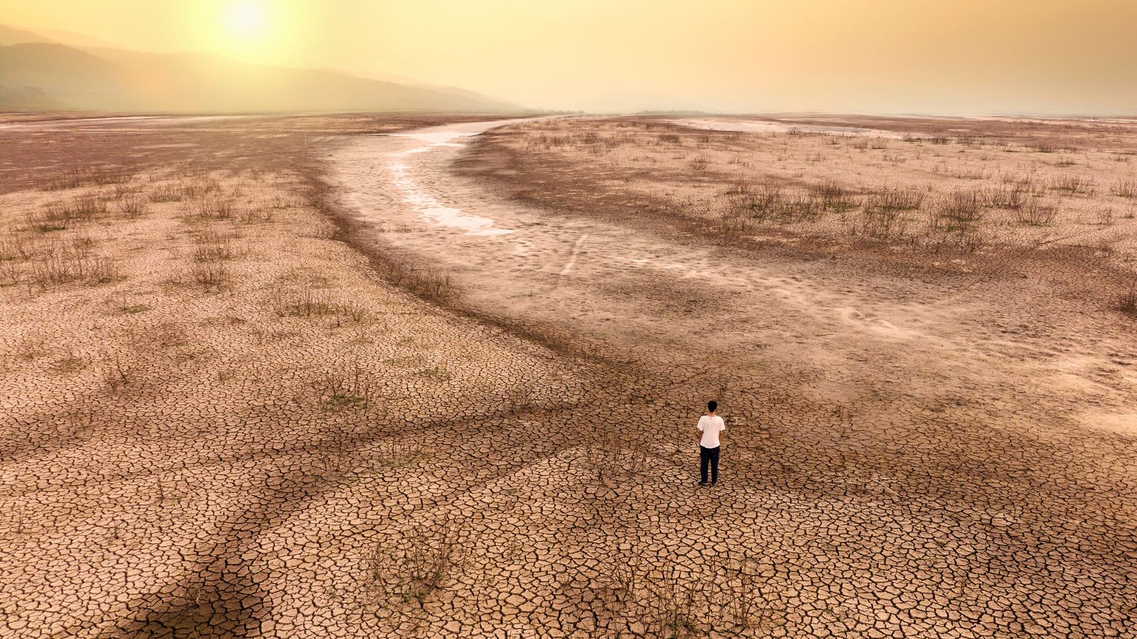 25.05.2023 | "Distopies": les temperatures extremes i els seus efectes amb l'ambientòleg Andreu Escrivà
