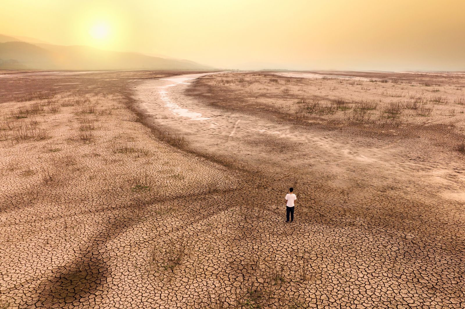 25.05.2023 | "Distopies": les temperatures extremes i els seus efectes amb l'ambientòleg Andreu Escrivà