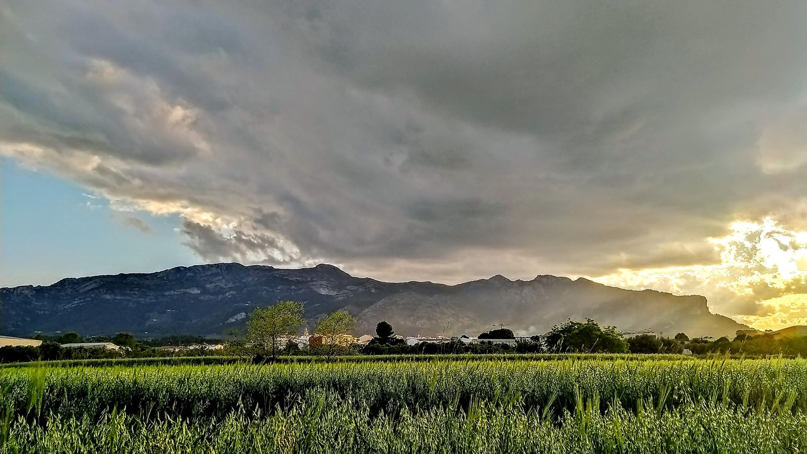 Serra Mariola, ahir