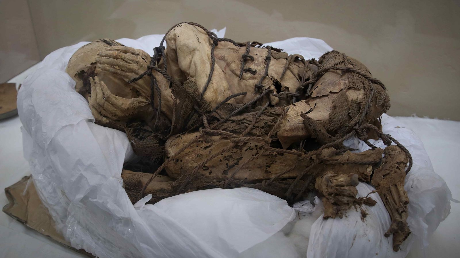 Vista de la mòmia de Cajamarquilla durant la presentació a la premsa en el Colegio Real San Marcos a Lima, el Perú,