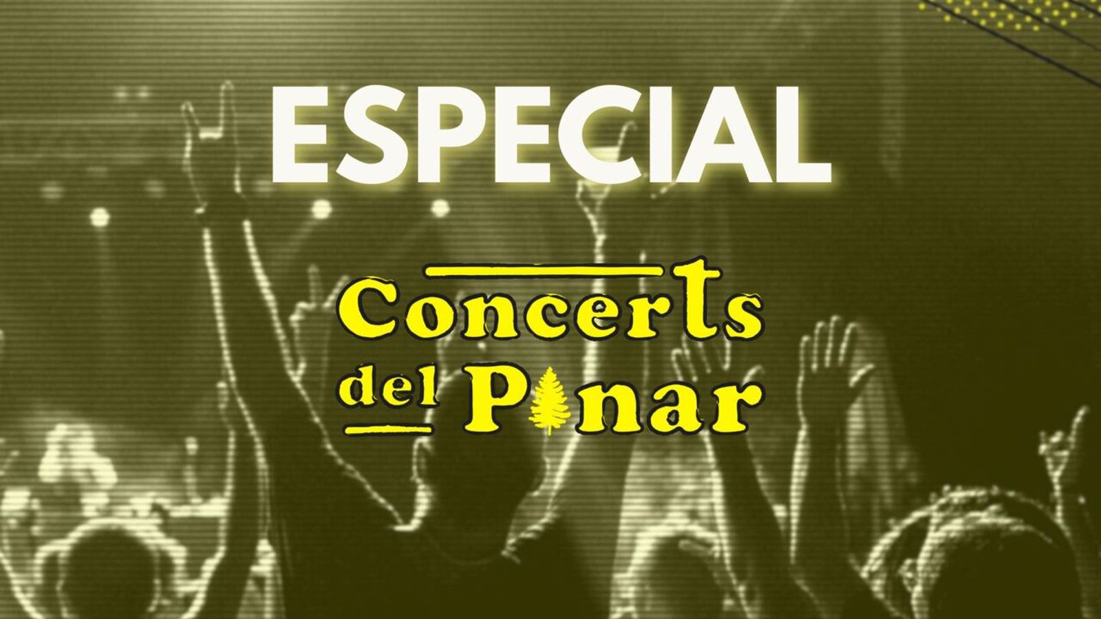 20.07.2023 | Especial Concerts del Pinar