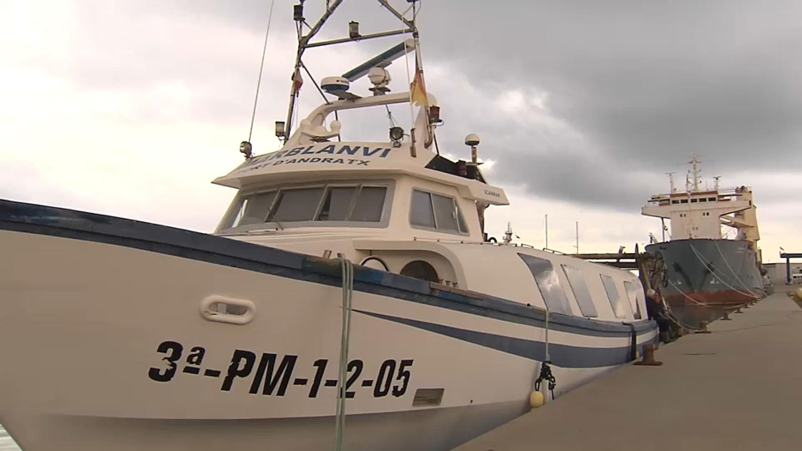 Els problemes de la pesca