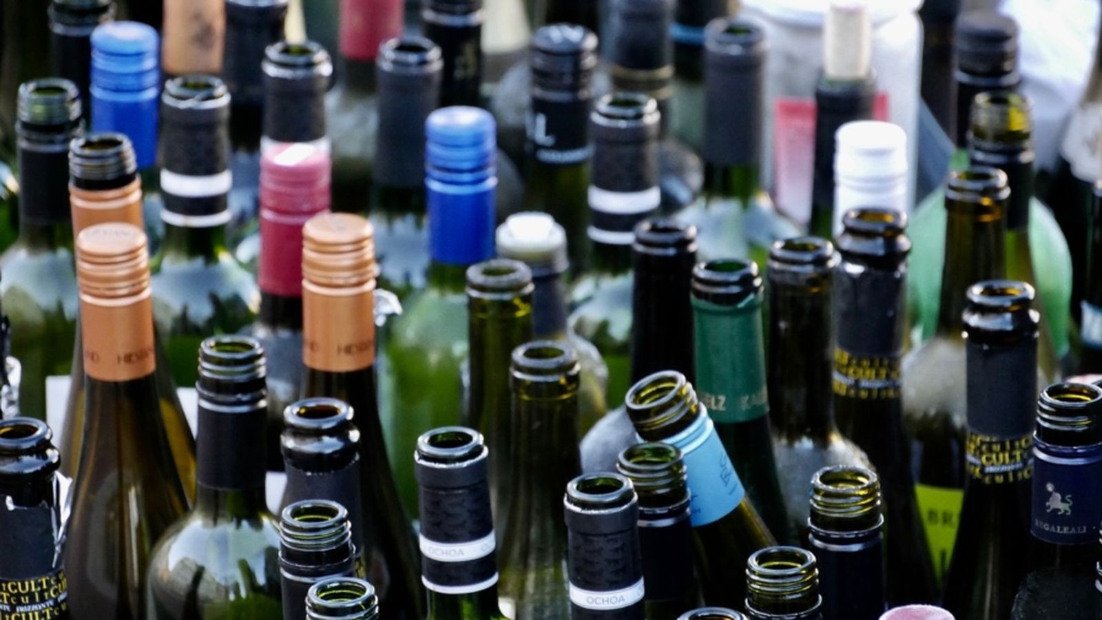 La nova edició de la Fira de Vi de Requena consciencia els visitants i expositors de reciclar les botelles