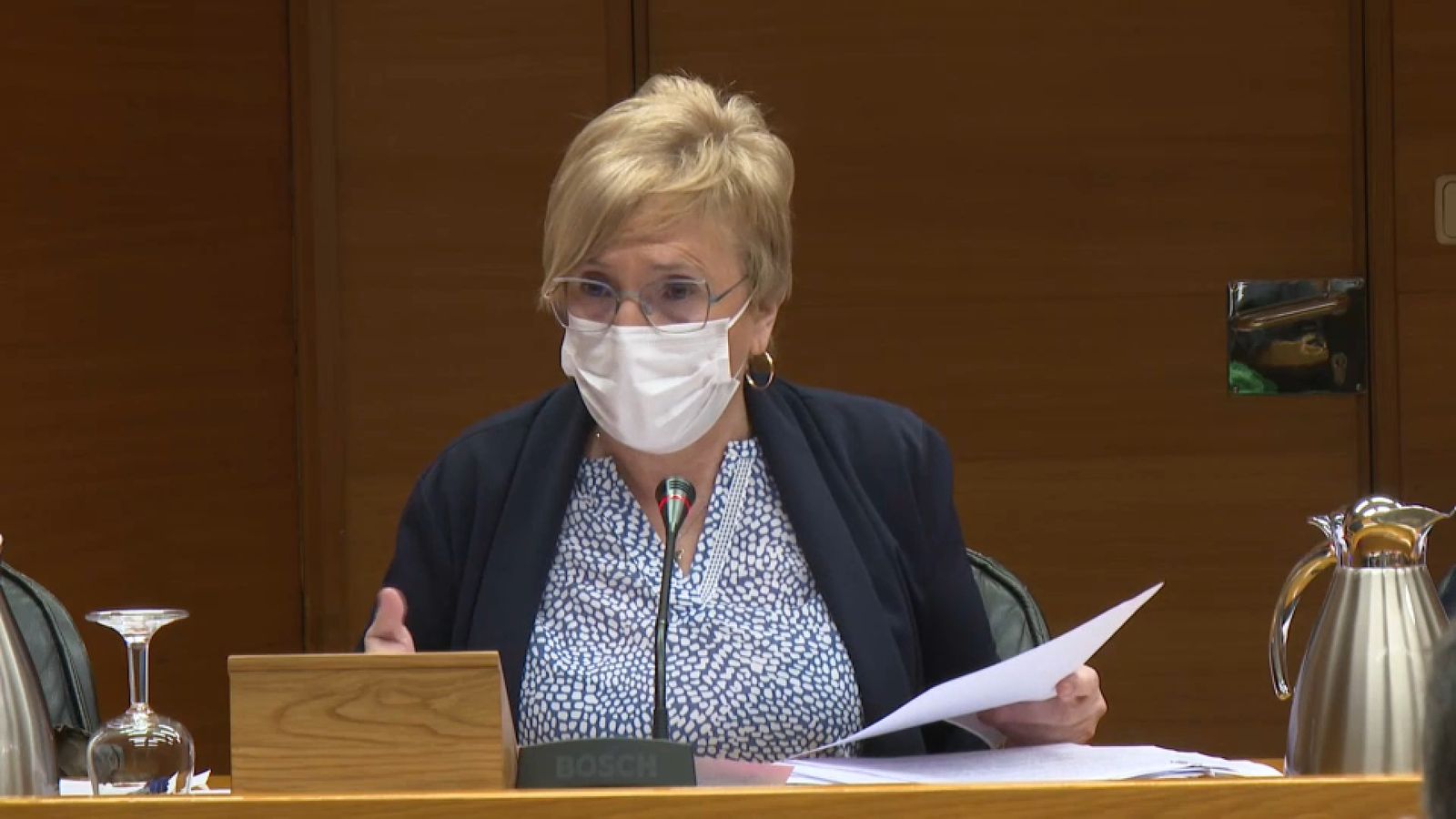 La consellera Ana Barceló a la comissió de sanitat a les Corts