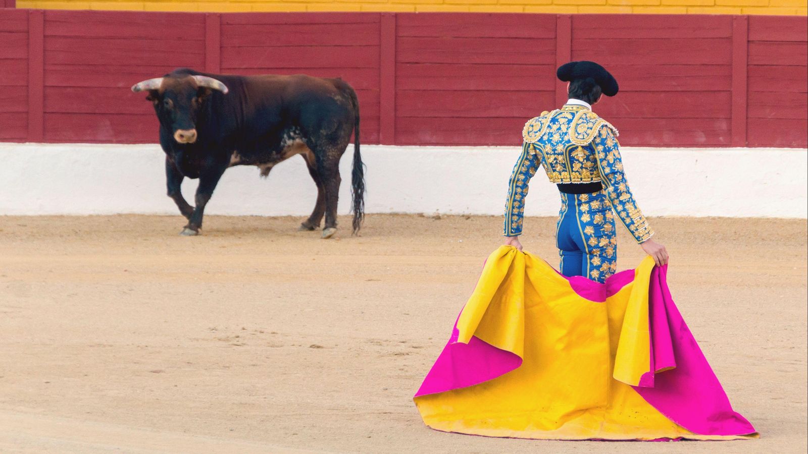 Imatge d'un espectacle taurí Imatge d'un espectacle taurí