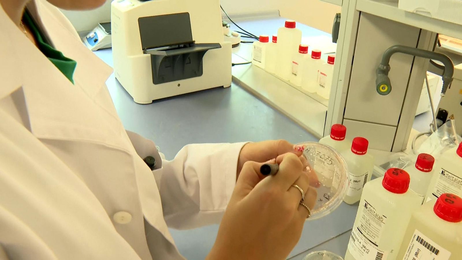 Anàlisis aigües platges