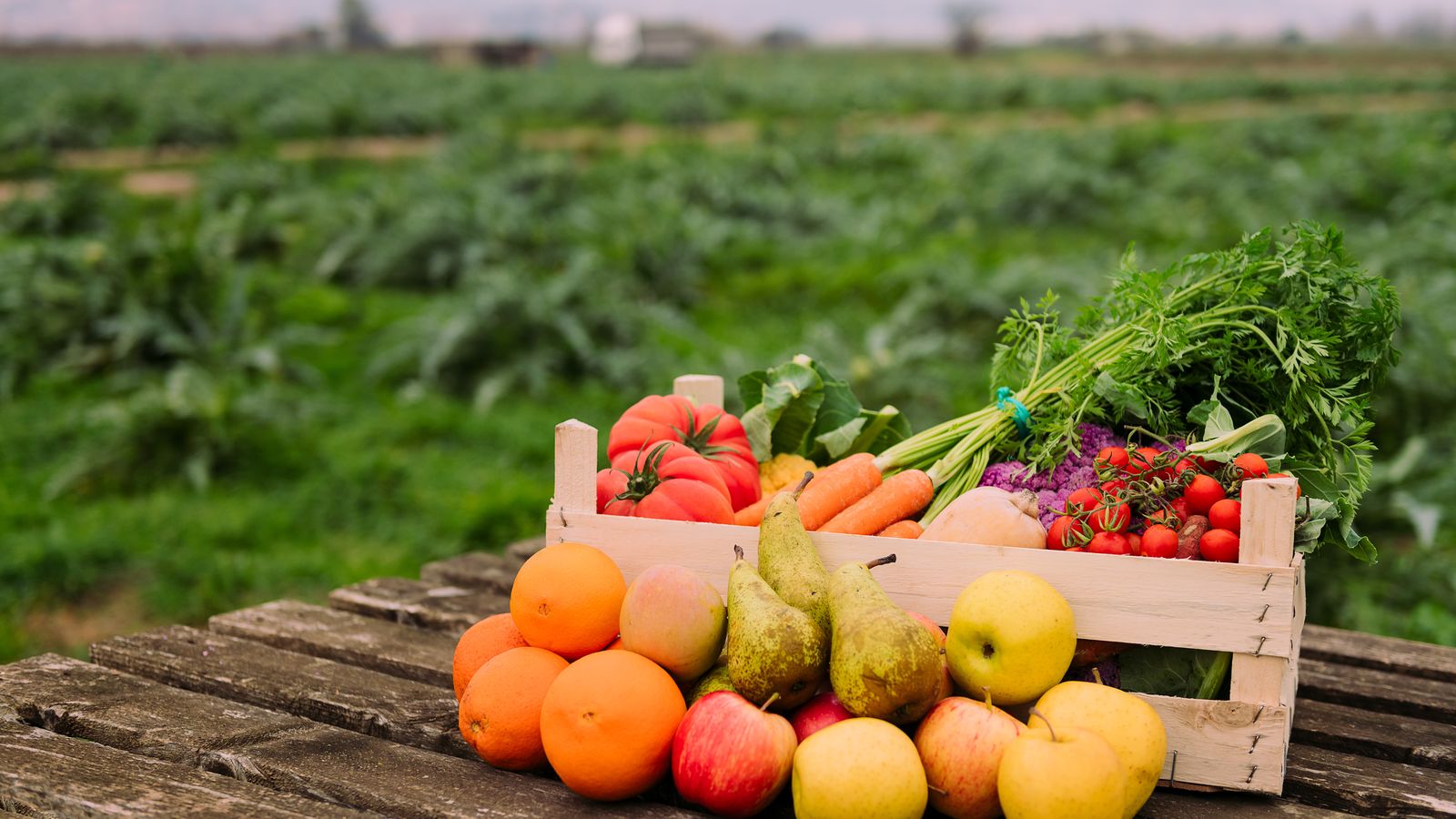09.11.2023 | Agricultura ecològica: menjar ecològic no és més car, desmuntem el mite