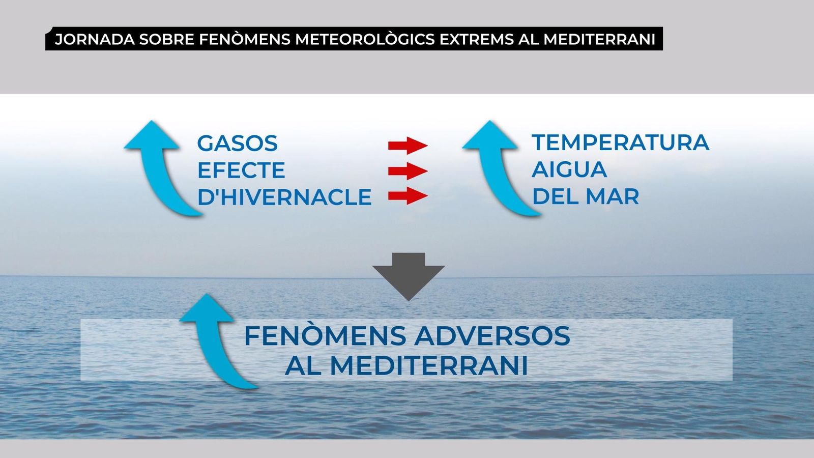 Els fenòmens meteorològics extrems, a debat
