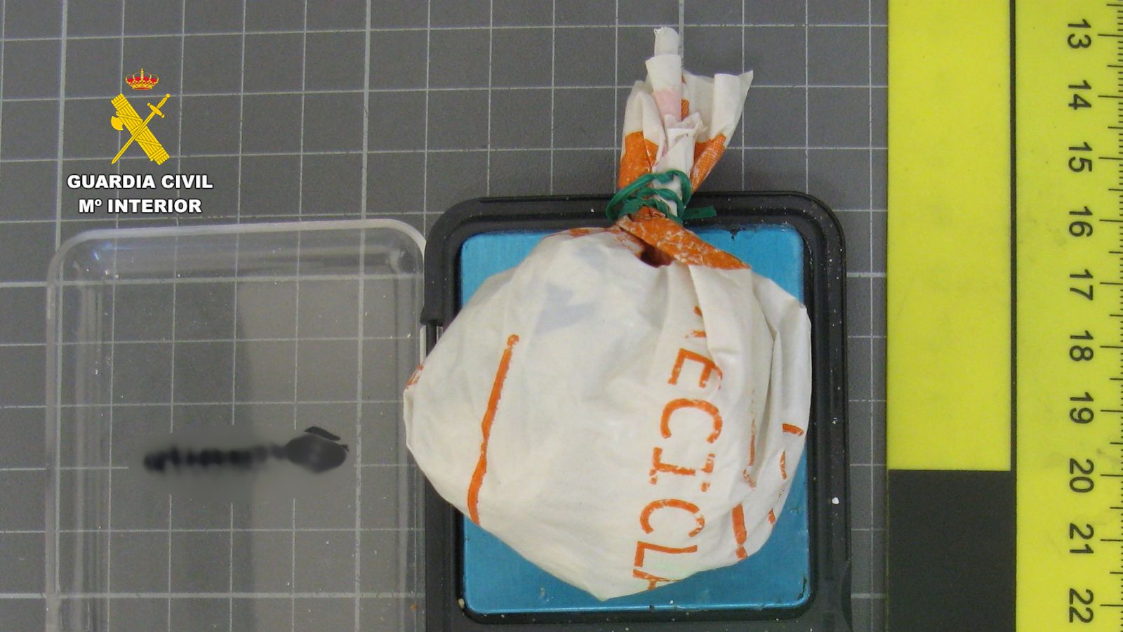 Nou grams de cocaïna intervinguts durant la inspecció del local