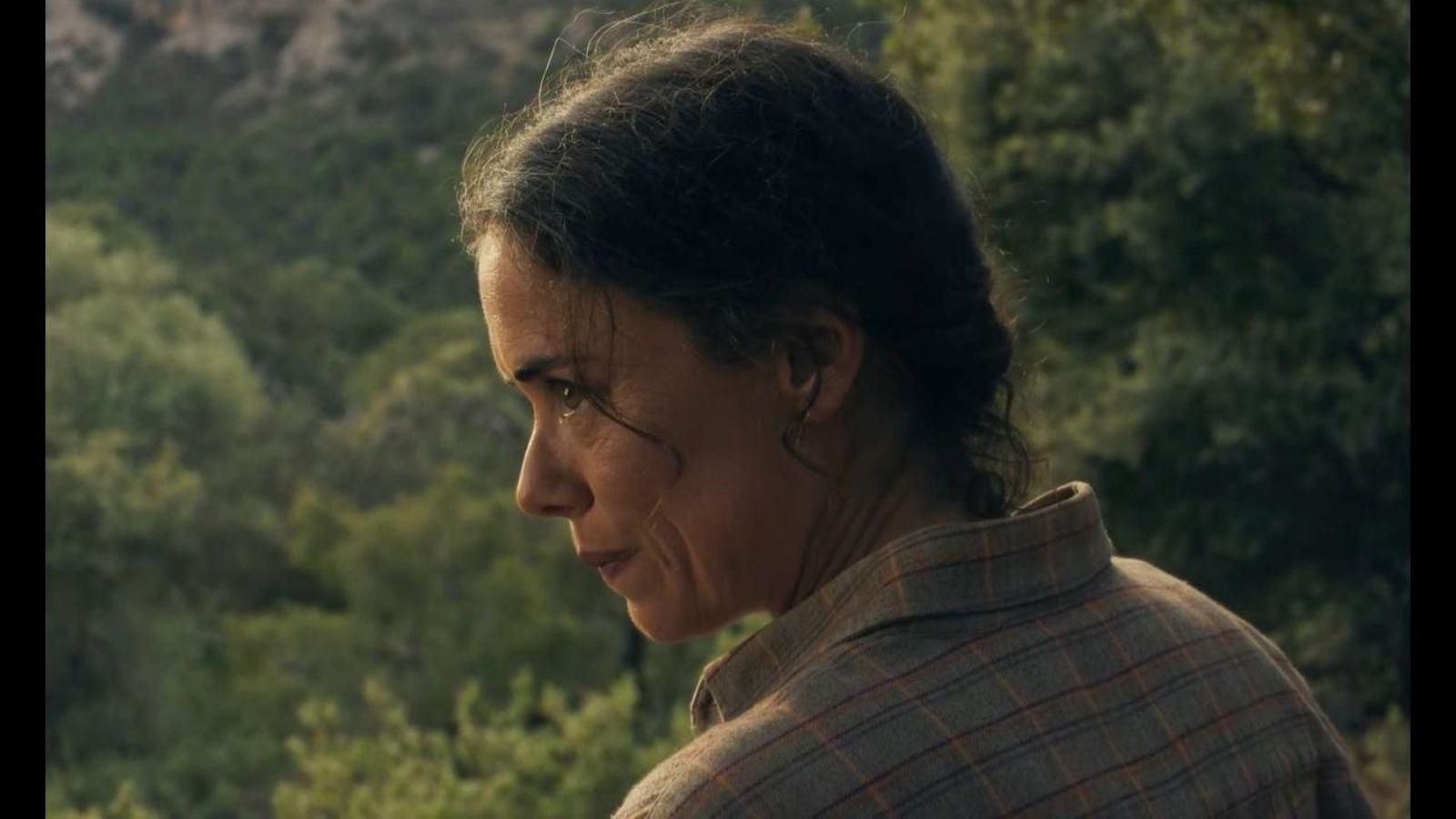 Pel·lícules valencianes que es projecten en el Festival de Sant Sebastià