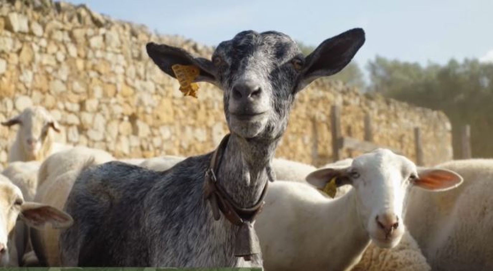 Ramat a Canales a l'actualitat