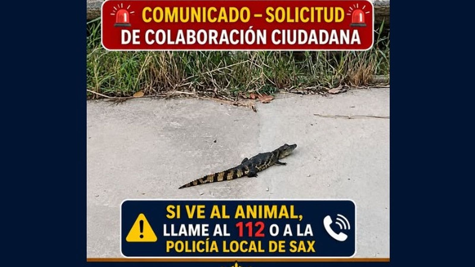 Comunicat de la Policia Local