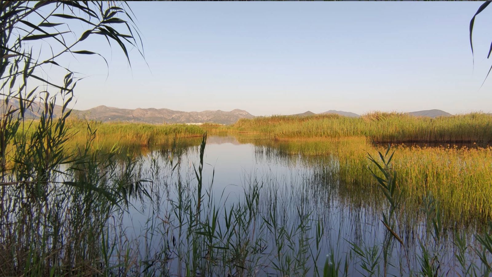 La Marjal de Pego-Oliva