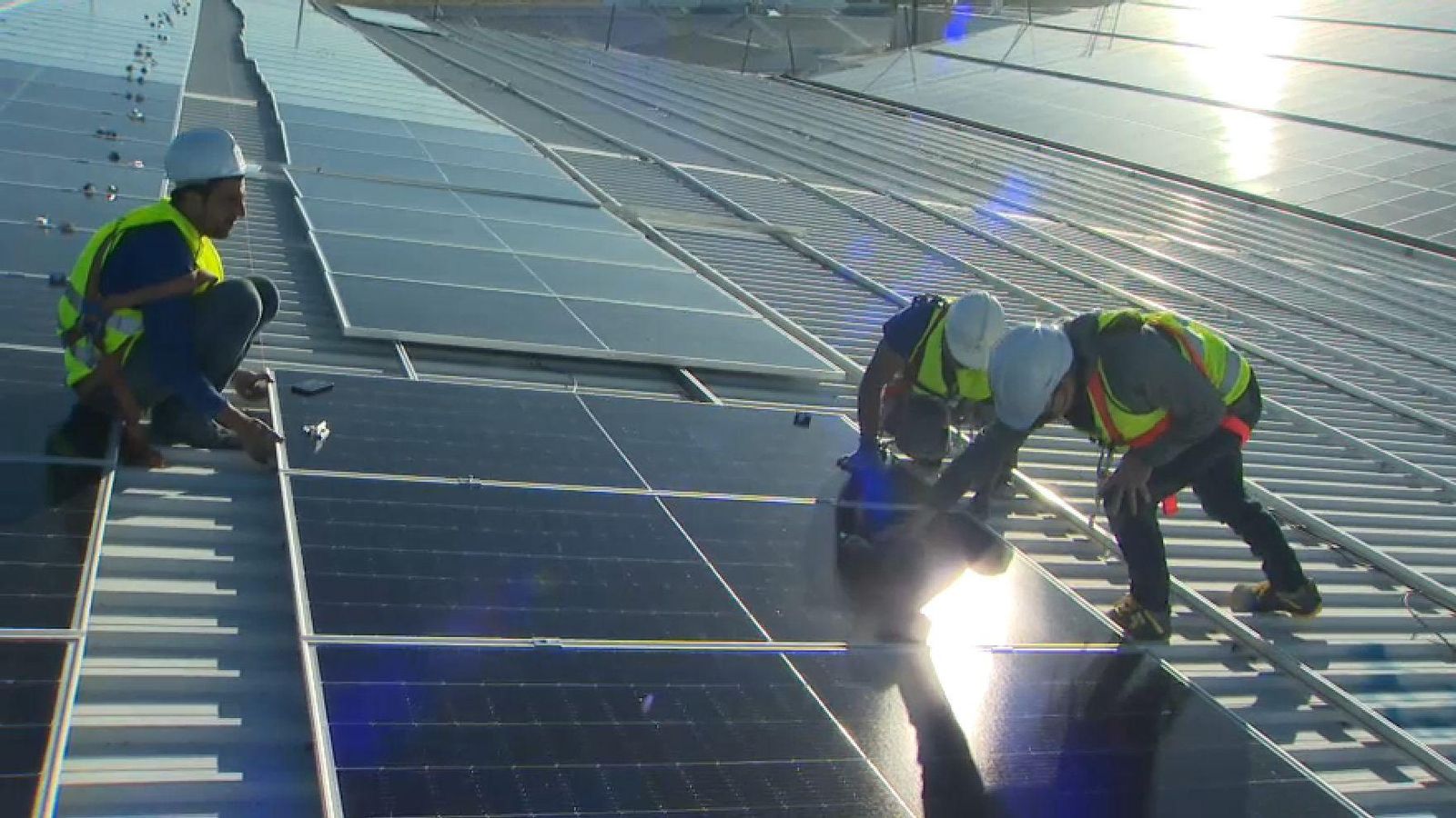 Un grup d'operaris treballa en la instal·lació d'una planta fotovoltaica a Algemesí (Ribera Alta)