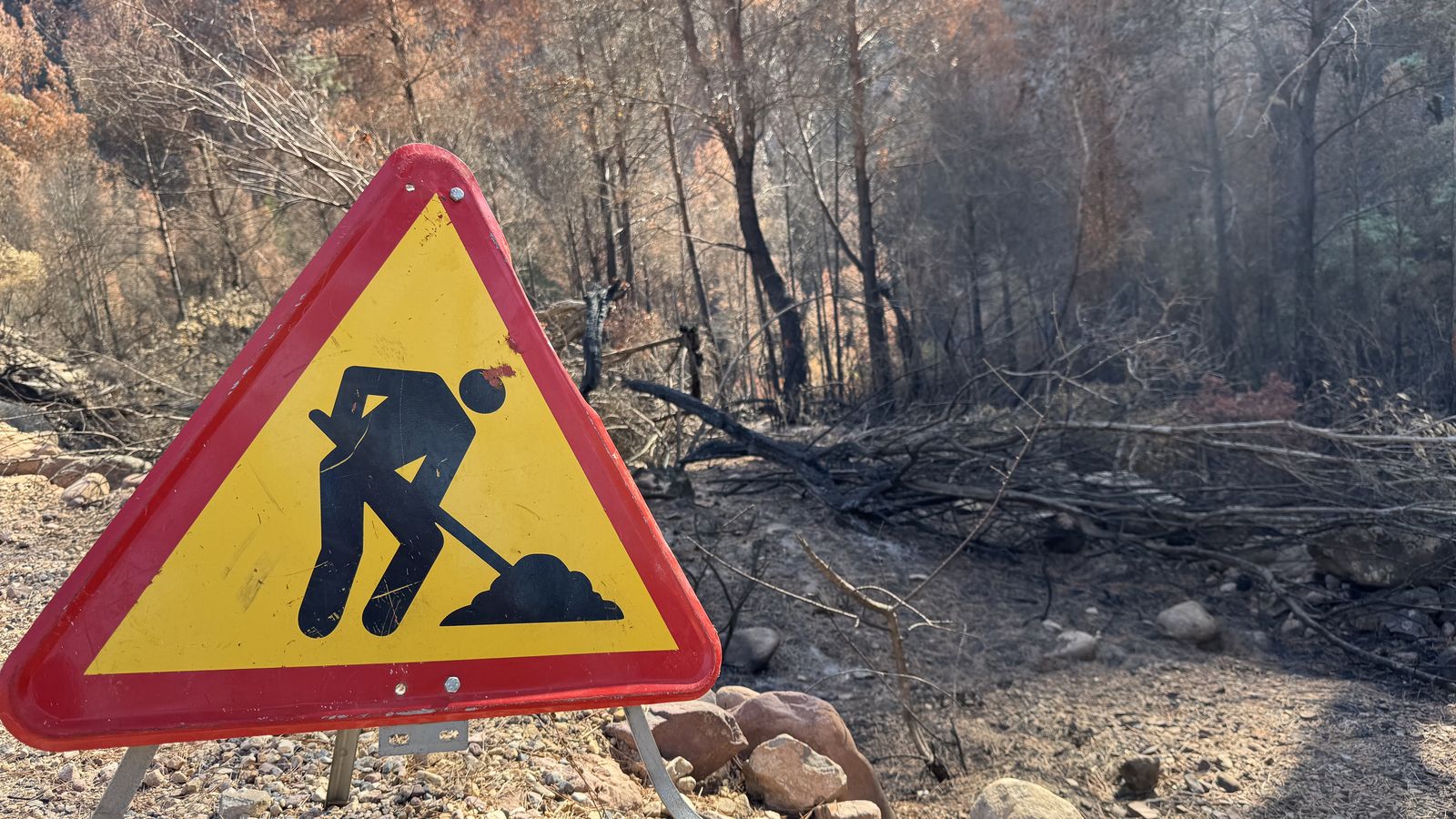 Comencen els treballs de reparació de pistes forestals danyades