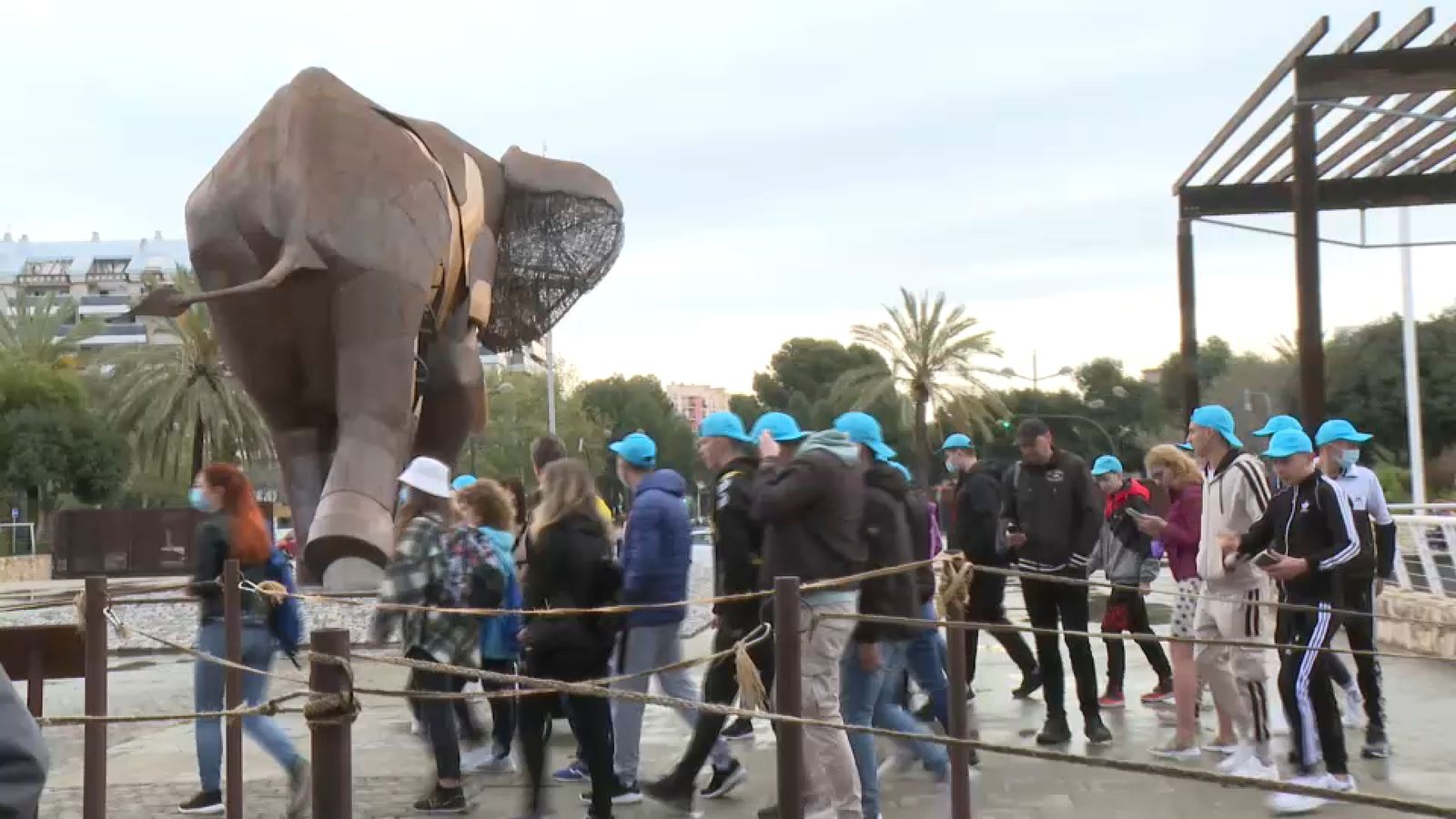 Cues al Bioparc de València, aquest Dijous Sant