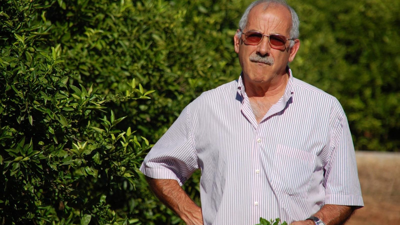 Foto d'arxiu de l'exsecretari general de la Unió de Llauradors Miquel Vilalta