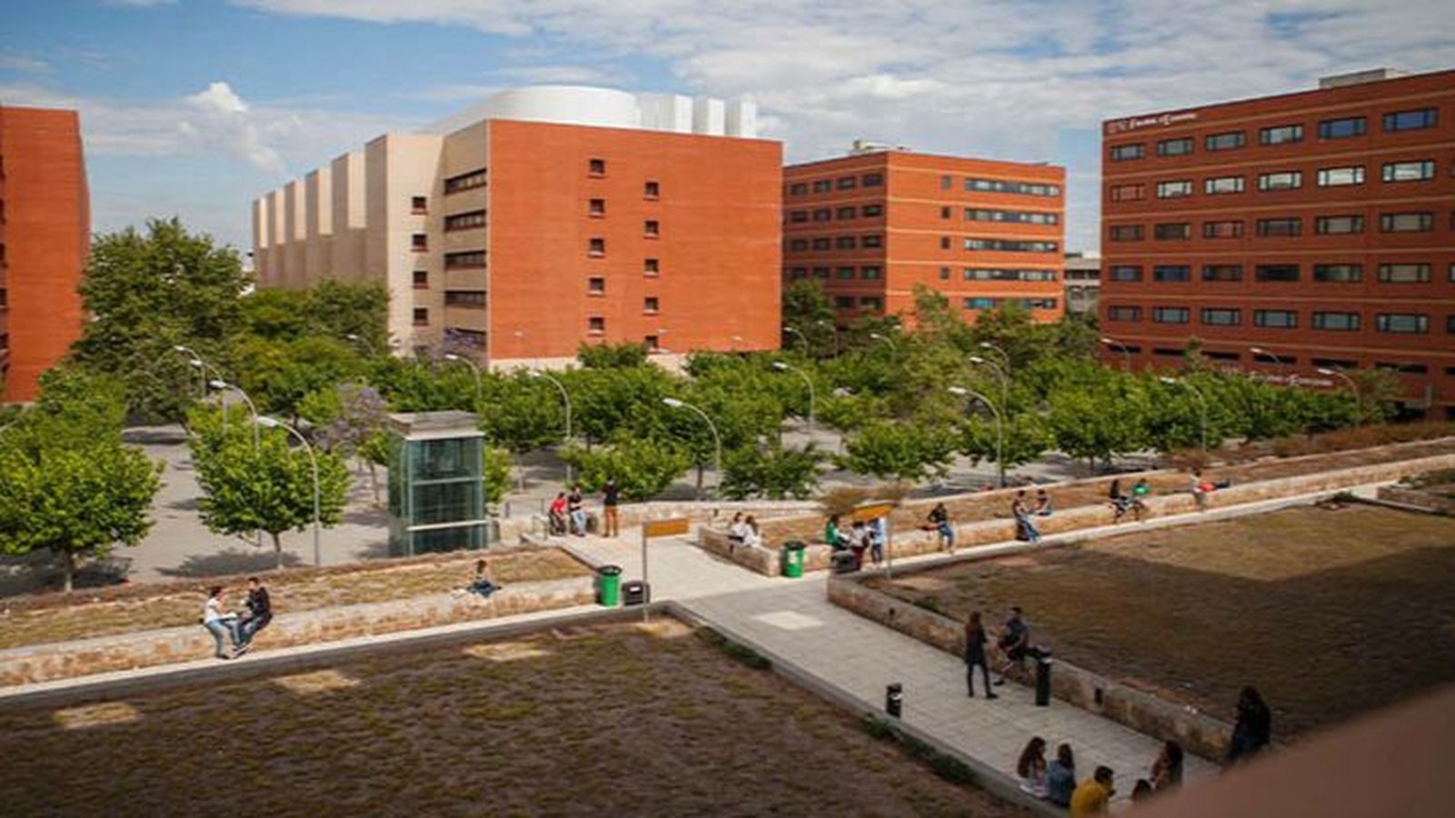 Vista del campus dels Tarongers a València