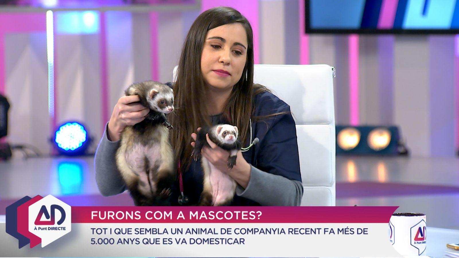 Furons com a mascotes