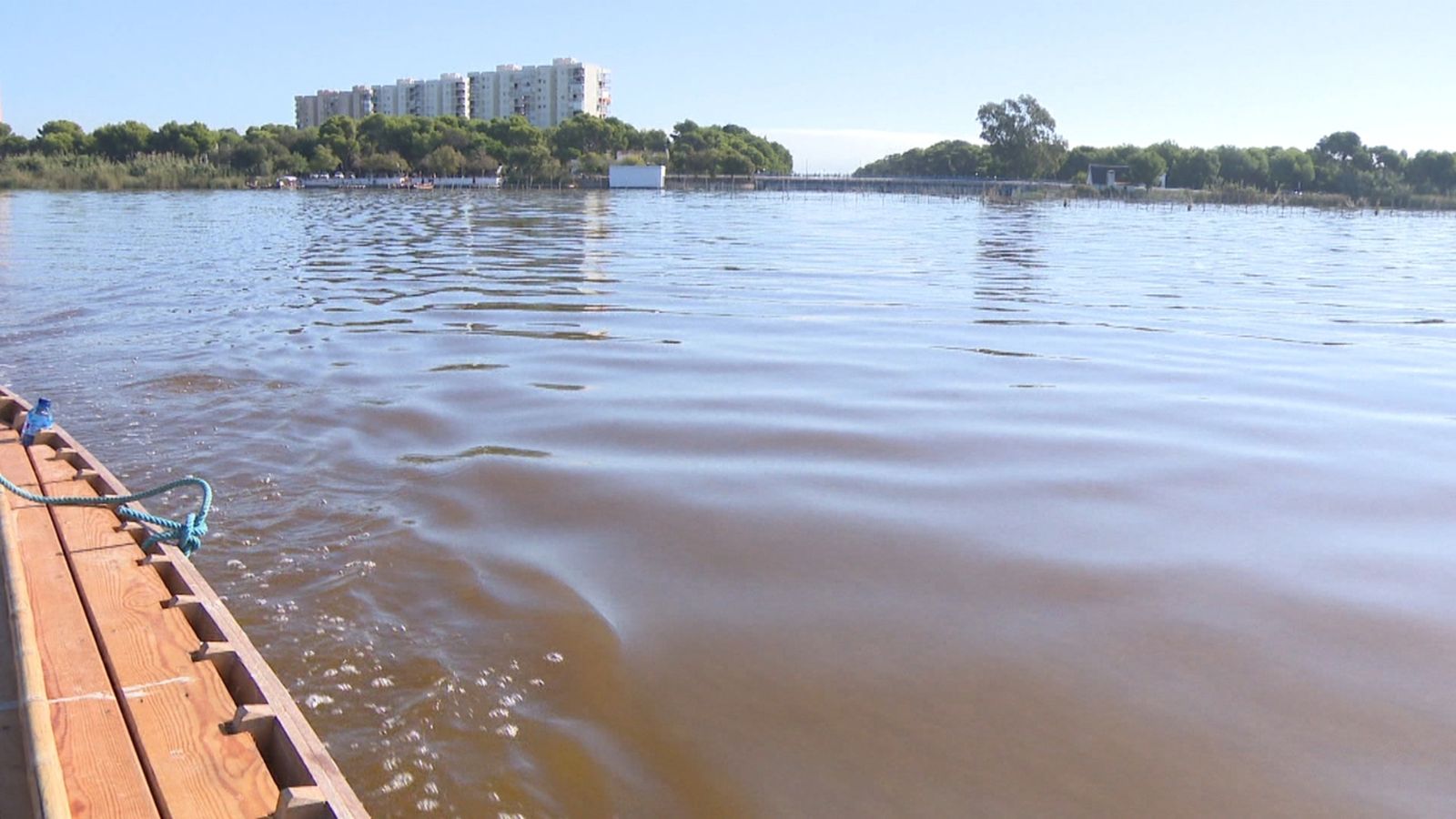 Un microbacteri natural tiny de color rovell l'aigua de l'Albufera de València