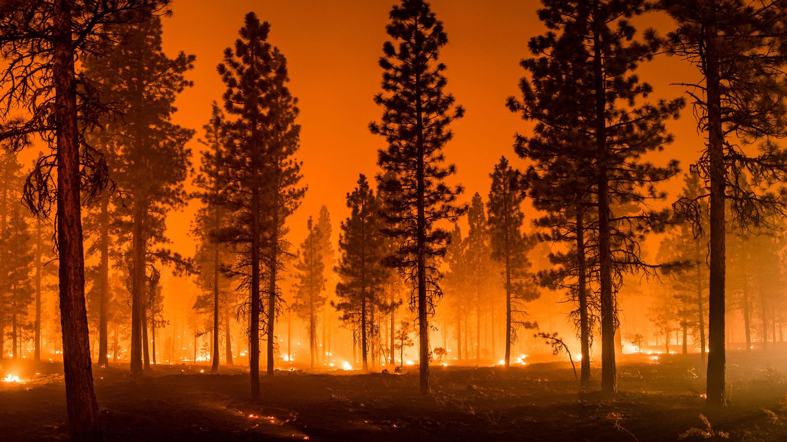 Imatge d'arxiu d'un incendi