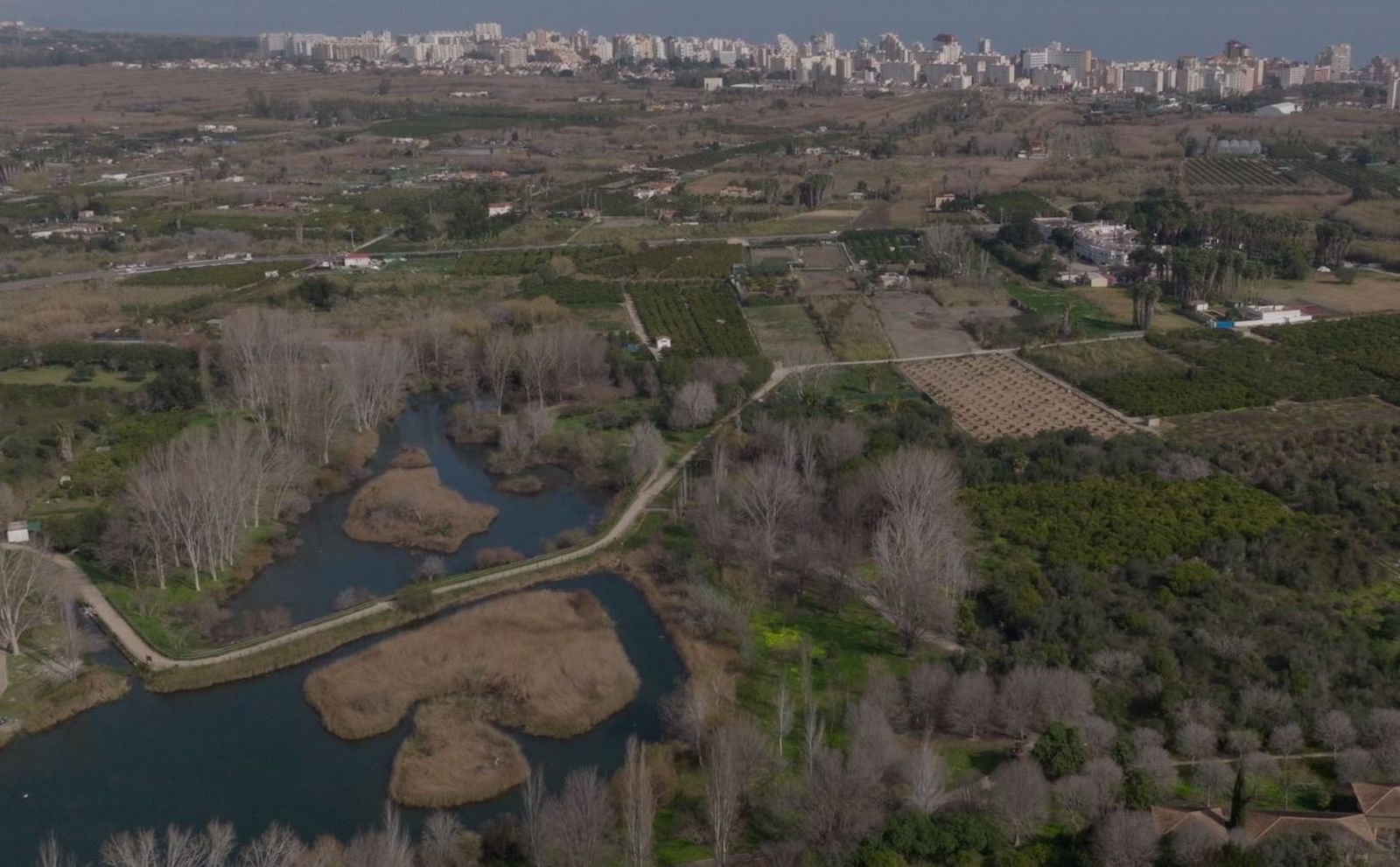 Voramar | Gandia
