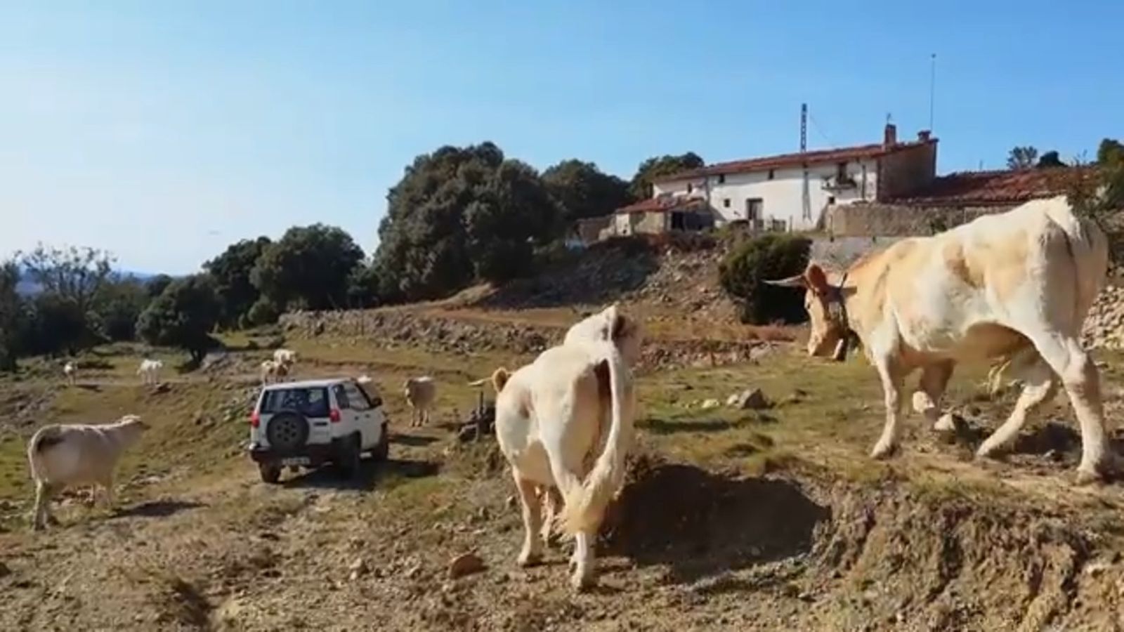De mar i bancal | Popurri rural