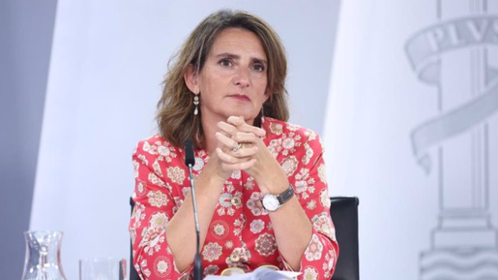 Teresa Ribera durant una roda de premsa