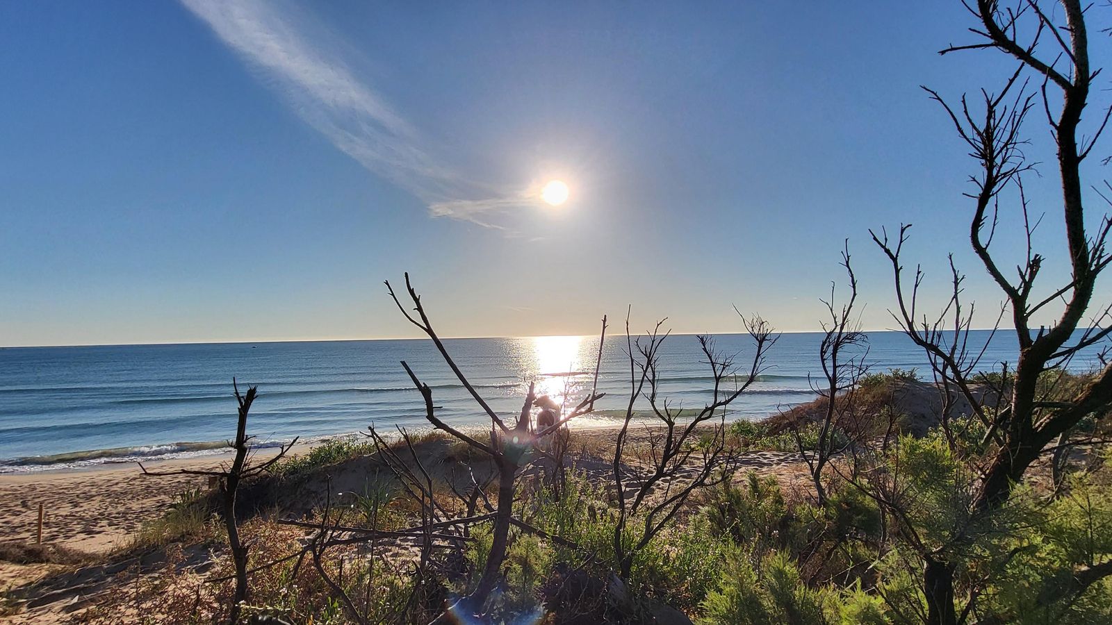 PLATJA DEL REI