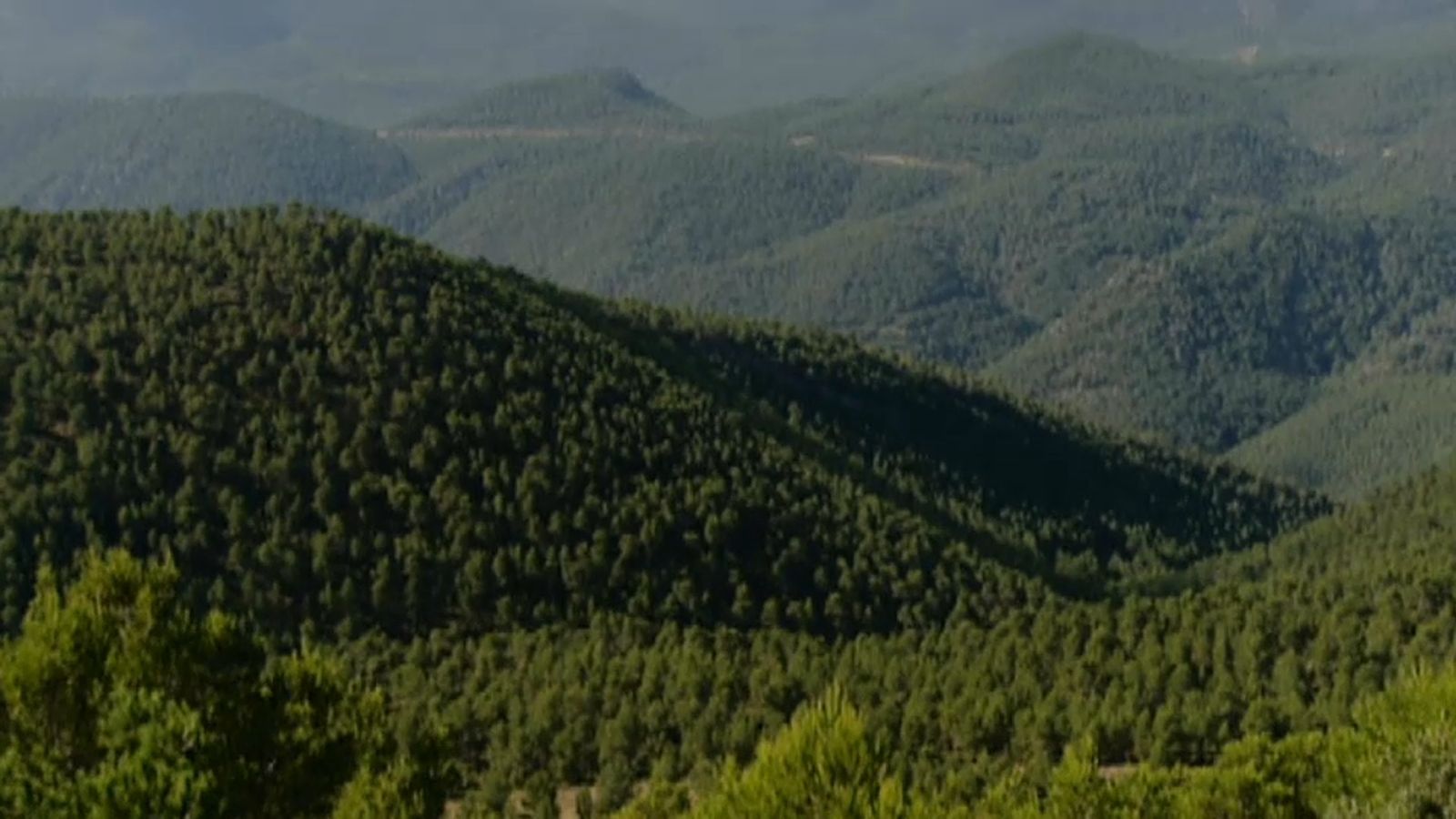 La Generalitat crea un document amb els paisatges de rellevància regional de la Comunitat Valenciana