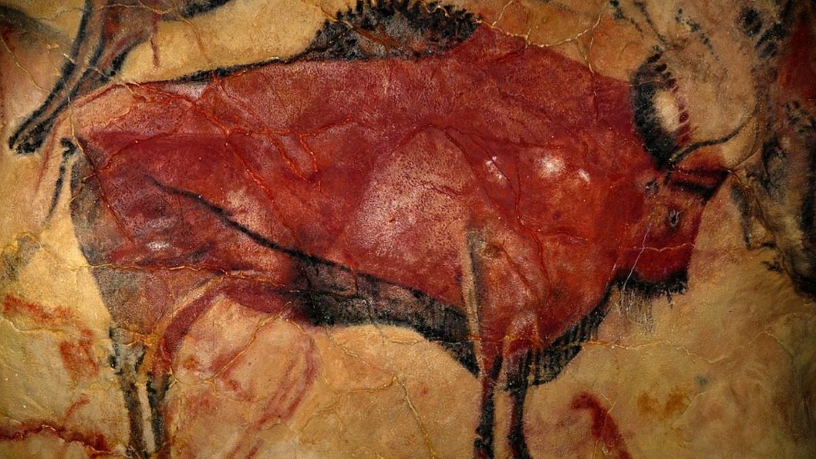 Encara que hui es commemora el 150 aniversari del descobriment de la cova, les pintures d'Altamira no van ser trobades fins 11 anys després. Encara que hui es commemora el 150 aniversari del descobriment de la cova, les pintures d'Altamira no van ser trobades fins 11 anys després.