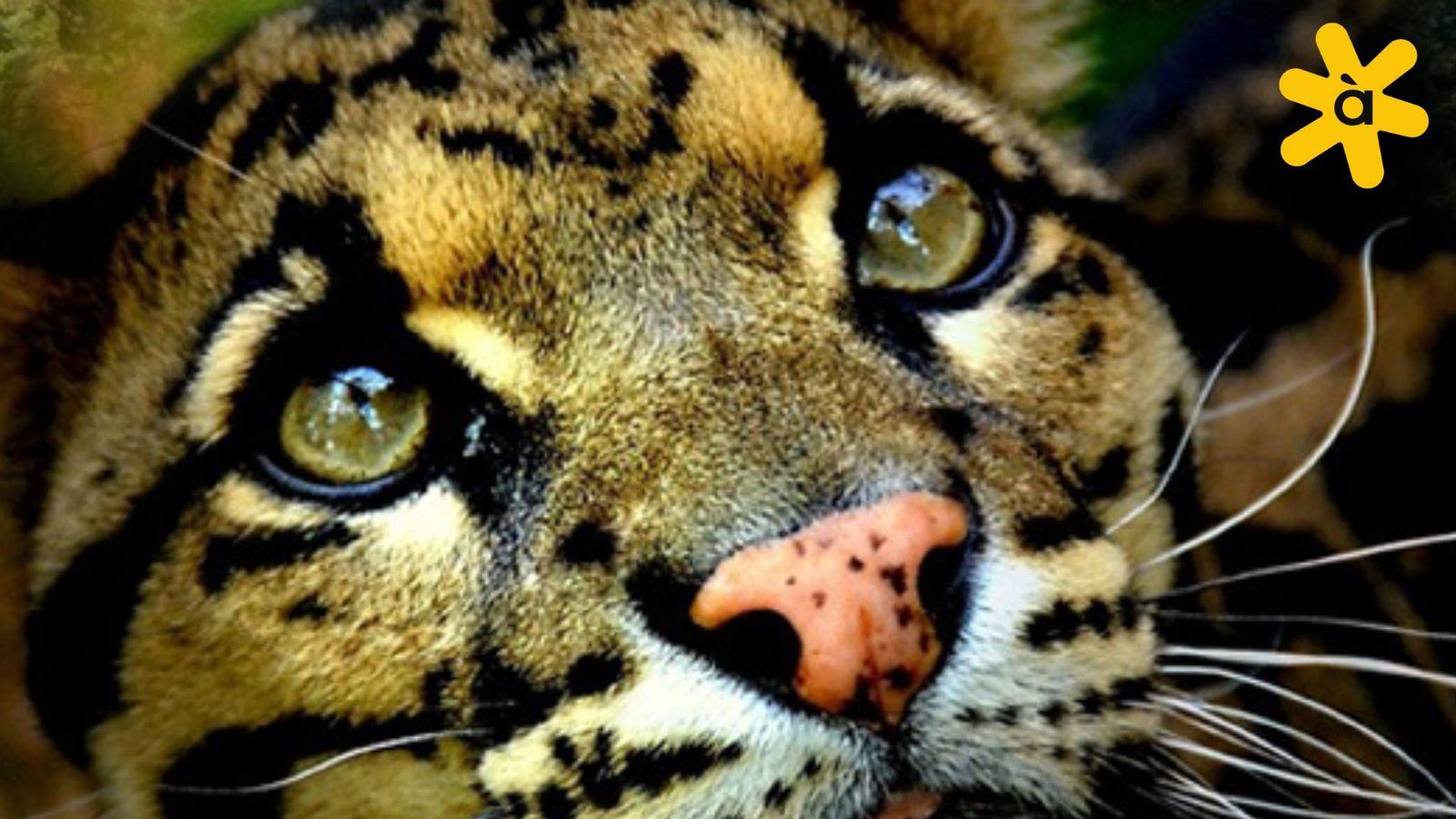Terra Natura 2025