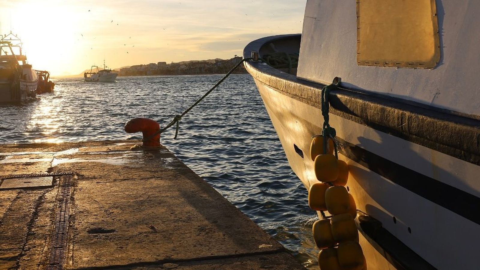 Moll de la Vila Joiosa