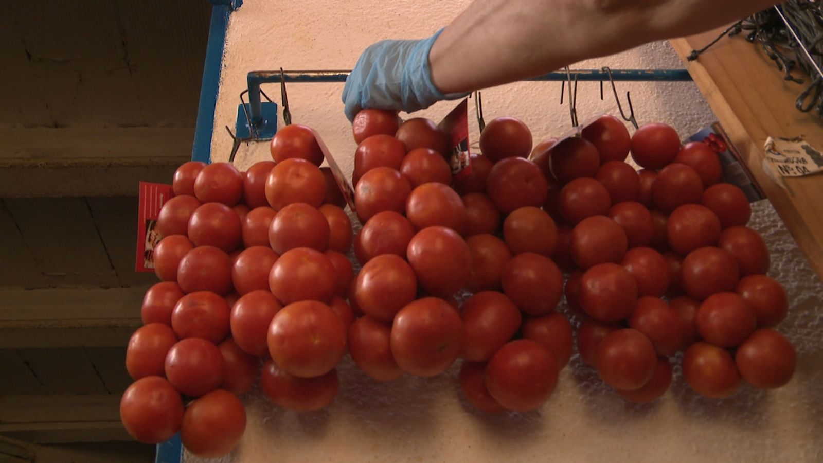 La X Fira de la Tomata de Penjar se celebra el 12 i el 13 d'octubre