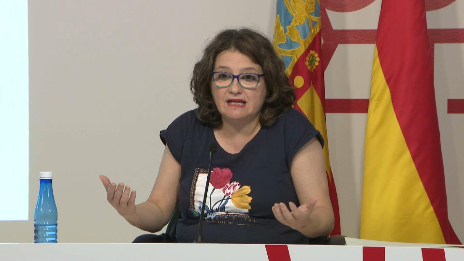 La vicepresidenta del Consell, Mónica Oltra La vicepresidenta del Consell Mónica Oltra