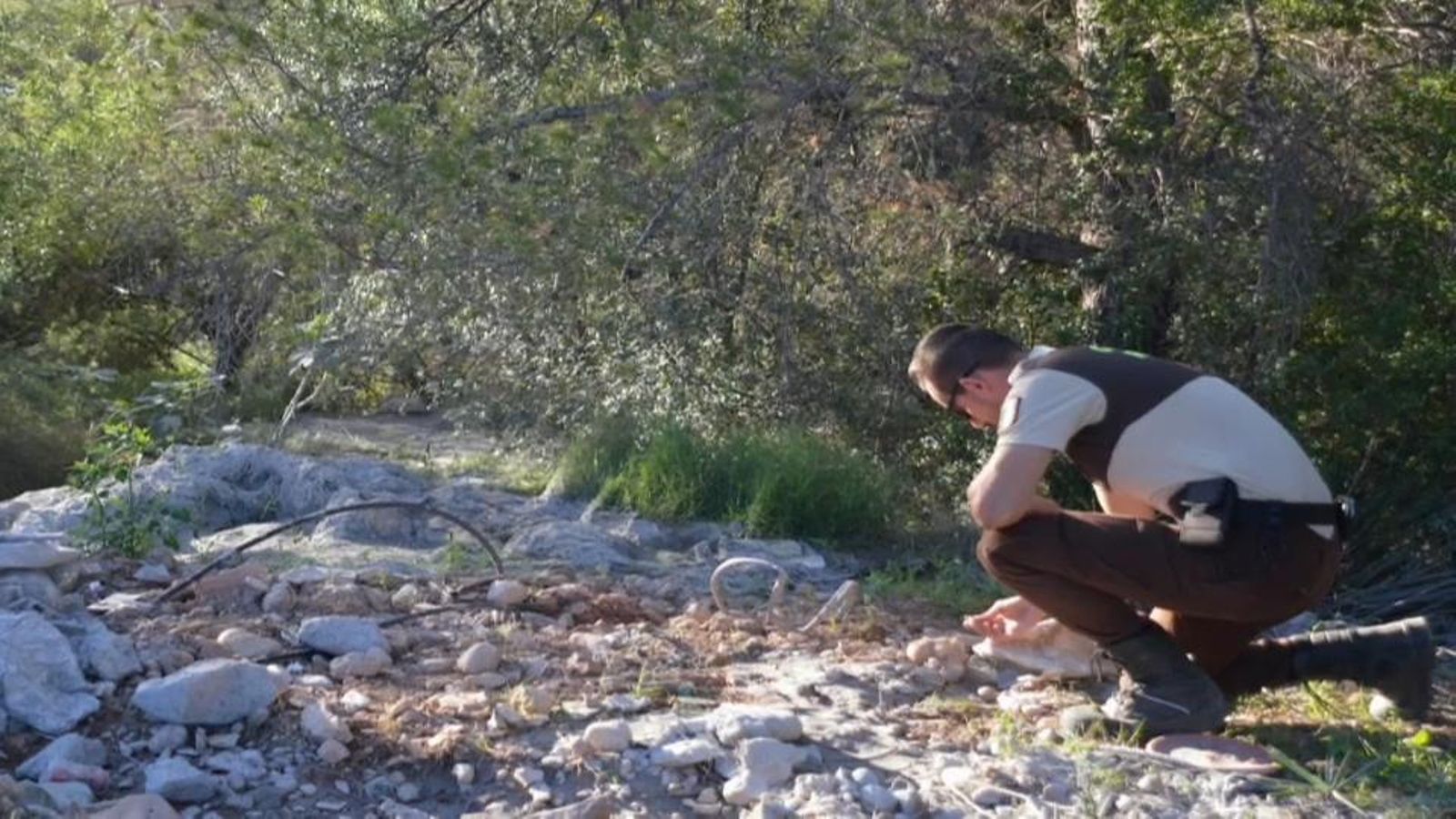 Un agent del Seprona desenvolupa tasques d'investigació a la vora del riu Millars