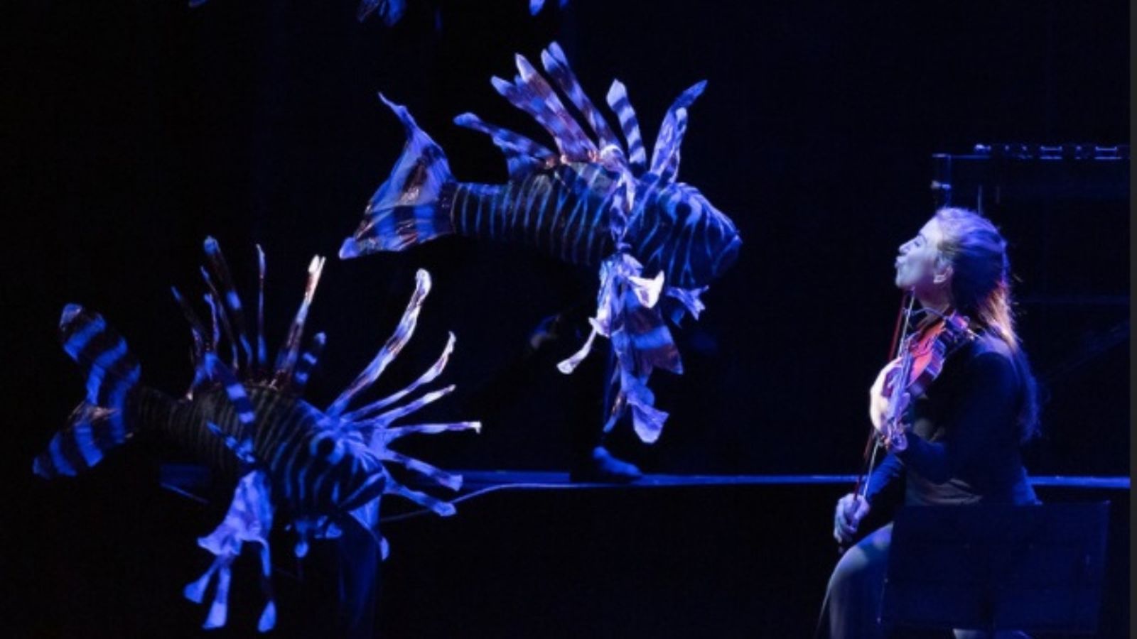 Un moment de l'obra 'Somiant el carnestoltes dels animals'