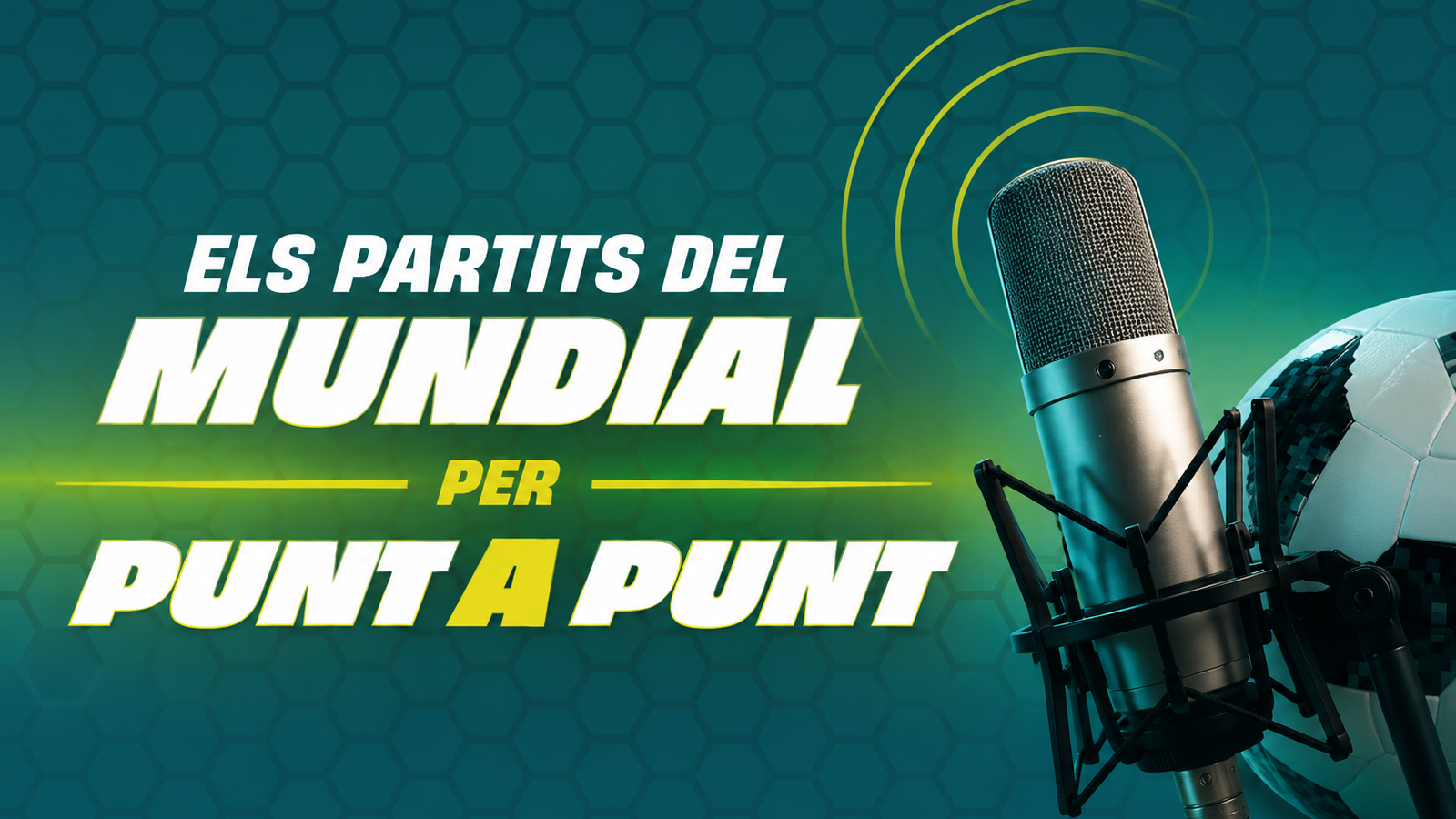 Els partits del mundial per Punt a punt