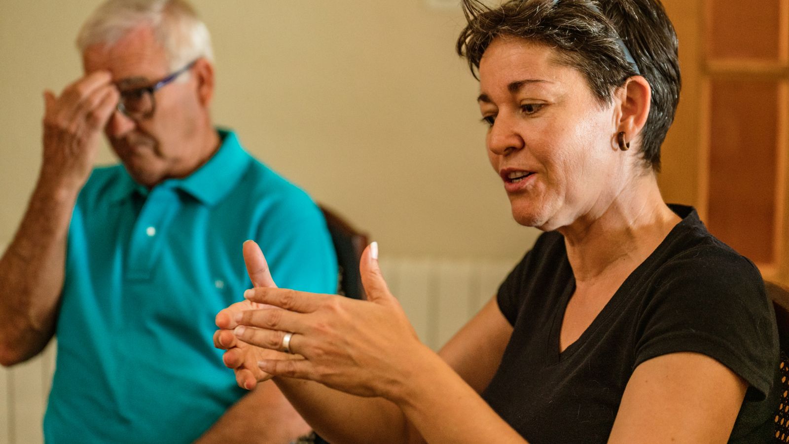 Menjador dels Montalbán-Moya