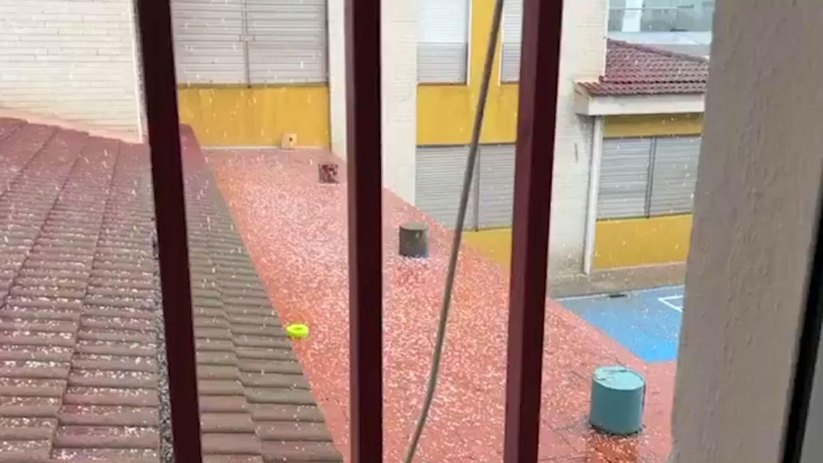 Ganís caigut a València este dimarts de vesprada