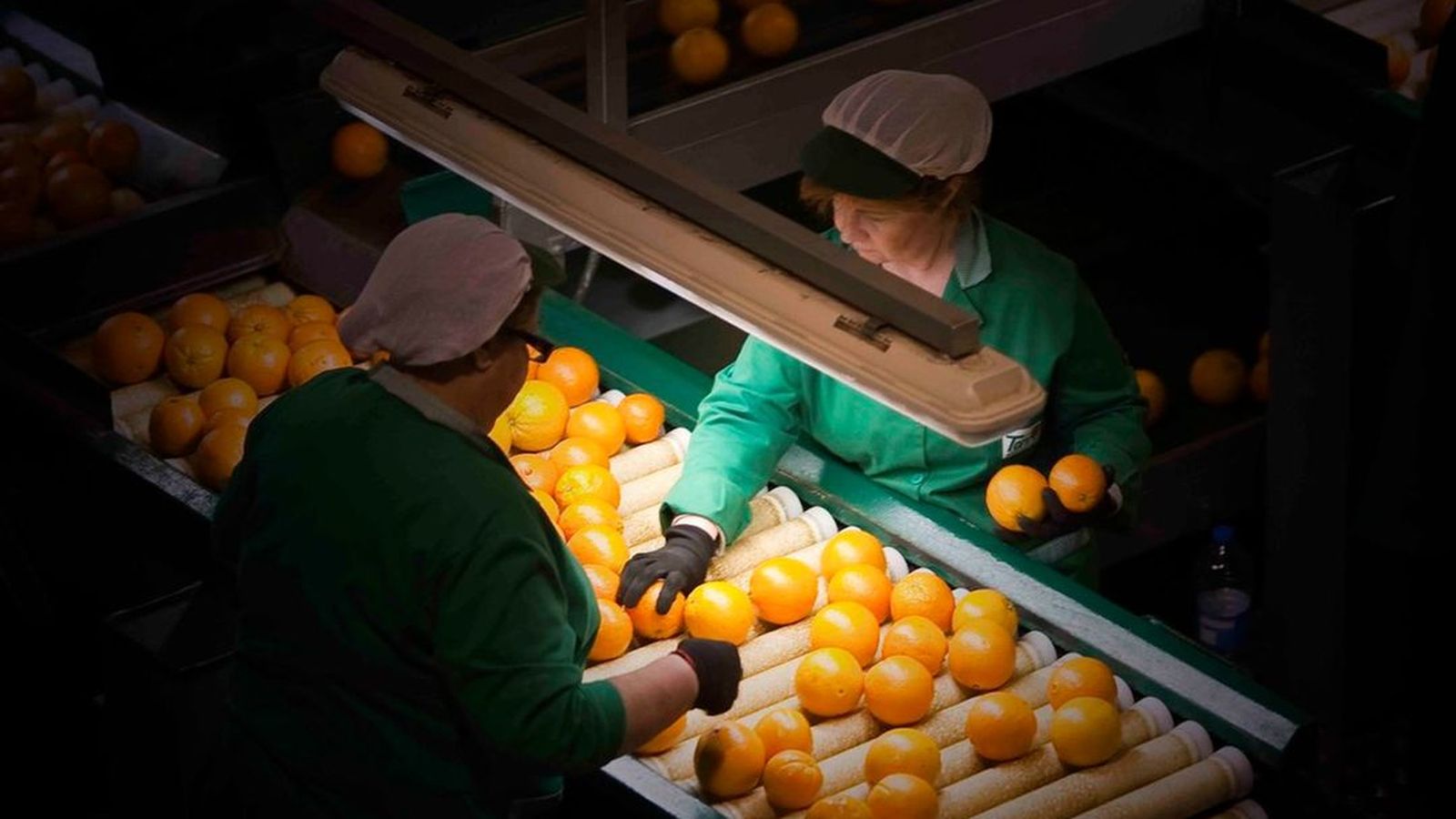 06.02.2019 | NM Entrevista a Xavi Nolla, de Taronges Torres d\'Almenara, sobre les expectatives en la fira Fruit Logistica