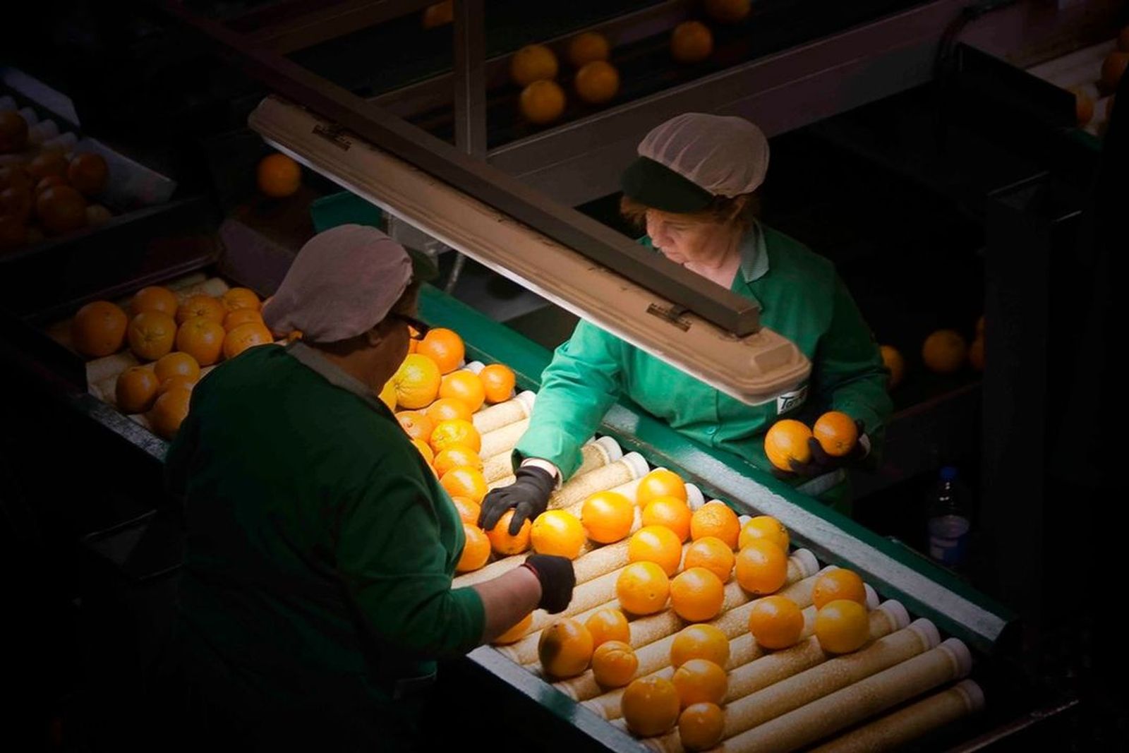06.02.2019 | NM Entrevista a Xavi Nolla, de Taronges Torres d\'Almenara, sobre les expectatives en la fira Fruit Logistica